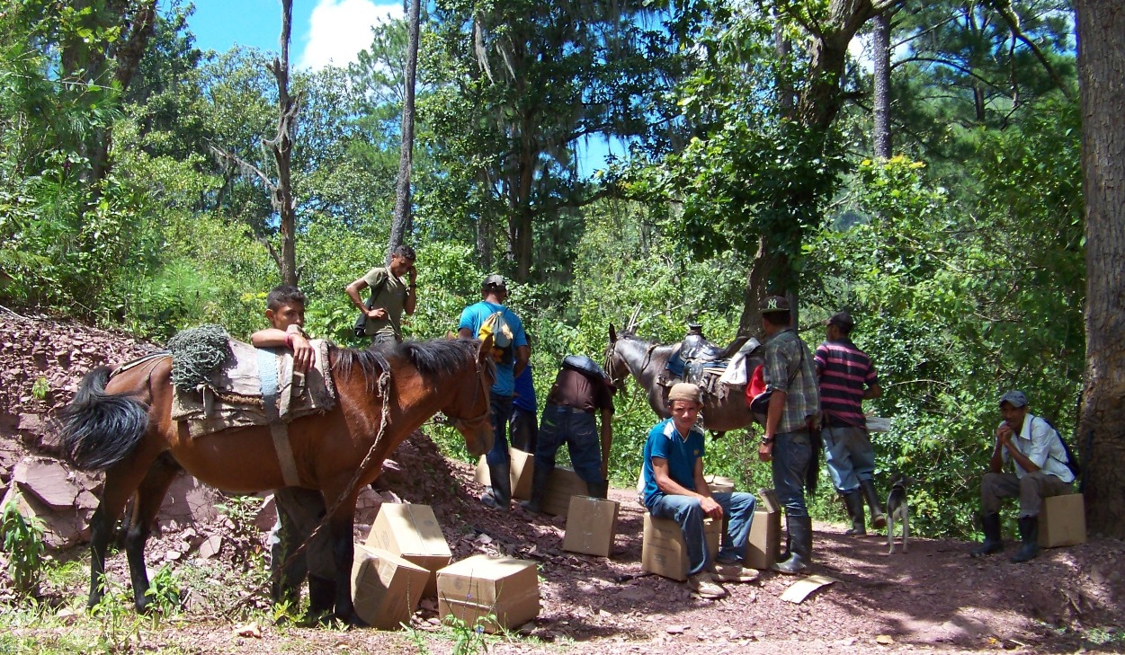 distributing food on Montaņa de la Flor